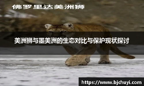 必一