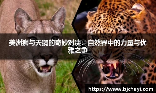 必一运动